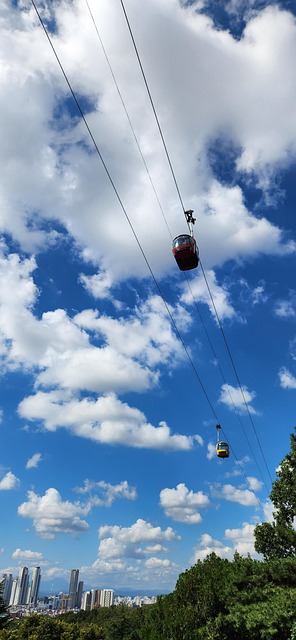 700 Free Perfect Amp Nature Images Pixabay 700 Free Perfect Amp Nature Images Pixabay