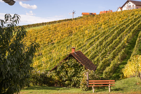 Exploring Images Browse 1 162 583 Stock Photos Vectors And Video