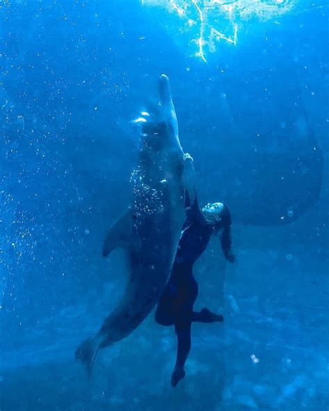 5 Quick Ways To Get Kattpaccino Leaks