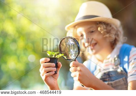 Kids Explore Nature Children Hike In Sunny Park Stock Photo Image Of